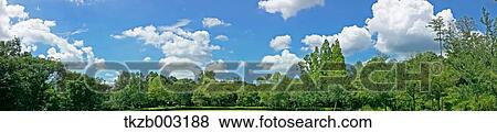 Stock Photo - Trees and sky. Fotosearch