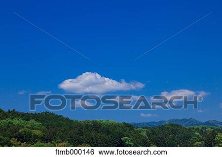 Trees and sky View Large Photo Image Stock Photograph - Trees and sky. Fotosearch