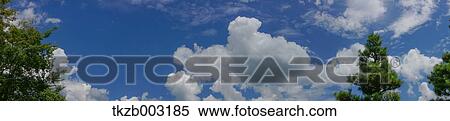 Stock Photography - Trees and sky. Fotosearch