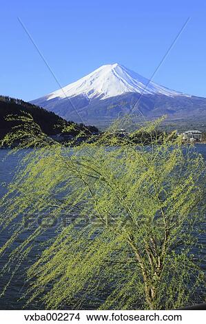 View of Mount Fuji View Large Photo Image Picture - View of Mount Fuji. Fotosearch