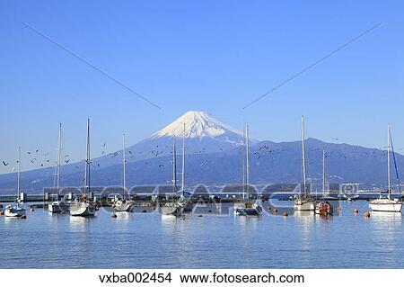 View of Mount Fuji View Large Photo Image Picture - View of Mount Fuji. Fotosearch