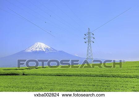View of Mount Fuji View Large Photo Image Picture - View of Mount Fuji. Fotosearch