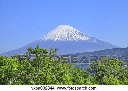 View of Mount Fuji View Large Photo Image Picture - View of Mount Fuji. Fotosearch