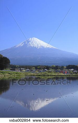 Picture - View of Mount Fuji. Fotosearch