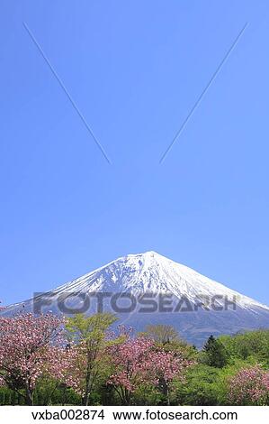 View of Mount Fuji View Large Photo Image Picture - View of Mount Fuji. Fotosearch