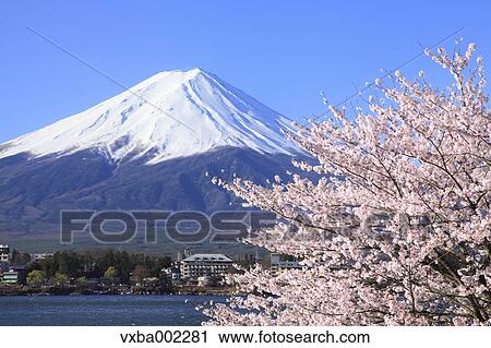 View of Mount Fuji View Large Photo Image Stock Image - View of Mount Fuji. Fotosearch