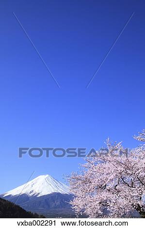 View of Mount Fuji View Large Photo Image Stock Image - View of Mount Fuji. Fotosearch