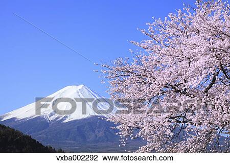 View of Mount Fuji View Large Photo Image Stock Image - View of Mount Fuji. Fotosearch