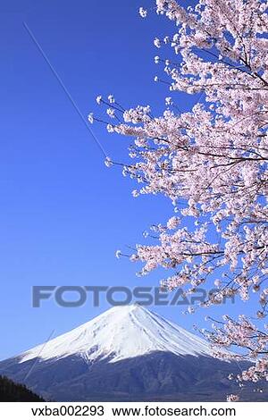 Stock Image - View of Mount Fuji. Fotosearch