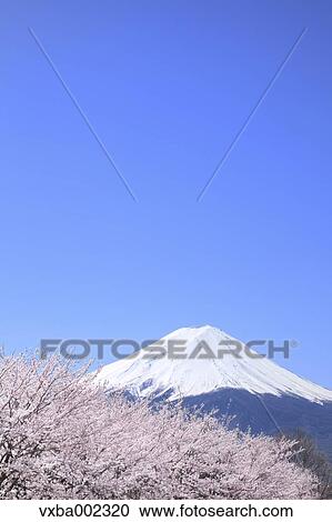 View of Mount Fuji View Large Photo Image Stock Image - View of Mount Fuji. Fotosearch