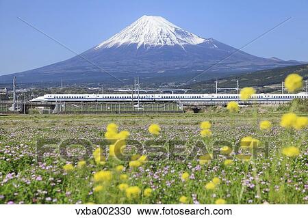 View of Mount Fuji View Large Photo Image Stock Image - View of Mount Fuji. Fotosearch