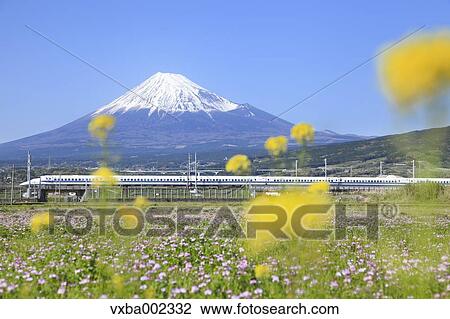 View of Mount Fuji View Large Photo Image Stock Image - View of Mount Fuji. Fotosearch