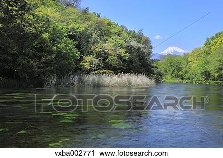 View of Mount Fuji View Large Photo Image Stock Image - View of Mount Fuji. Fotosearch