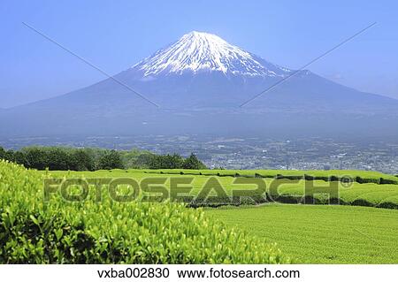 View of Mount Fuji View Large Photo Image Stock Image - View of Mount Fuji. Fotosearch