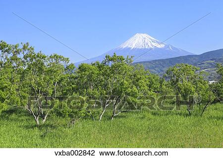 View of Mount Fuji View Large Photo Image Stock Image - View of Mount Fuji. Fotosearch