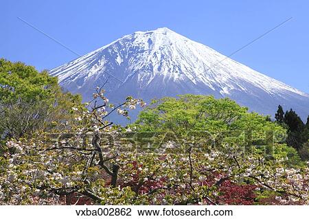View of Mount Fuji View Large Photo Image Stock Image - View of Mount Fuji. Fotosearch