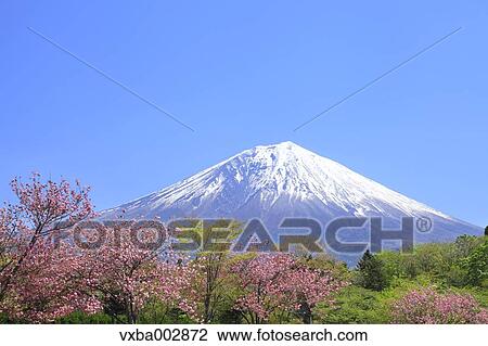 View of Mount Fuji View Large Photo Image Stock Image - View of Mount Fuji. Fotosearch
