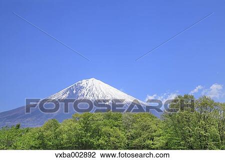 View of Mount Fuji View Large Photo Image Stock Image - View of Mount Fuji. Fotosearch