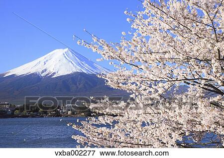Stock Photo - View of Mount Fuji. Fotosearch