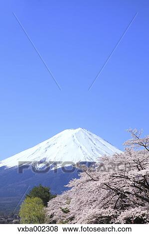 Stock Photo - View of Mount Fuji. Fotosearch