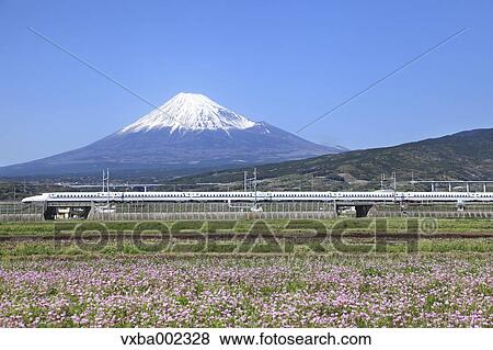 View of Mount Fuji View Large Photo Image Stock Photo - View of Mount Fuji. Fotosearch