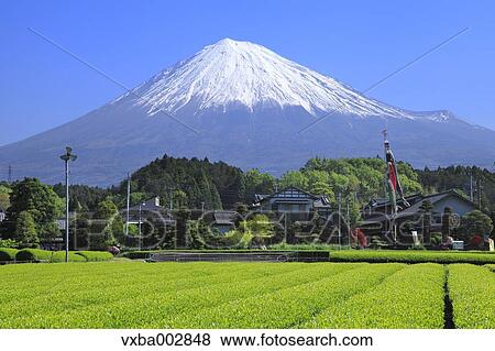 View of Mount Fuji View Large Photo Image Stock Photo - View of Mount Fuji. Fotosearch