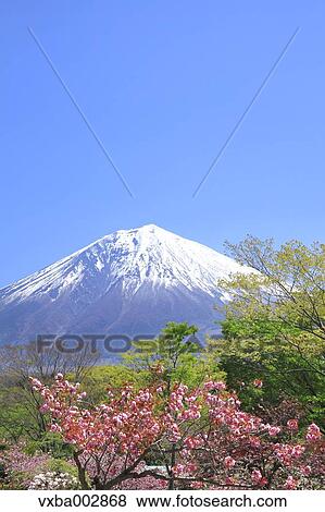 View of Mount Fuji View Large Photo Image Stock Photo - View of Mount Fuji. Fotosearch