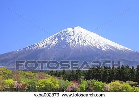 View of Mount Fuji View Large Photo Image Stock Photo - View of Mount Fuji. Fotosearch