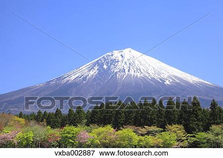 View of Mount Fuji View Large Photo Image Stock Photo - View of Mount Fuji. Fotosearch