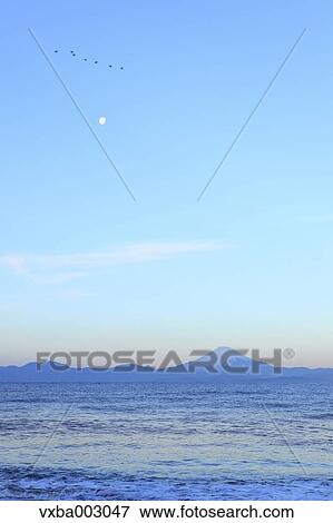 View of Mount Fuji View Large Photo Image Stock Photo - View of Mount Fuji. Fotosearch