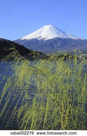 View of Mount Fuji View Large Photo Image Stock Photograph - View of Mount Fuji. Fotosearch