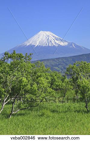 View of Mount Fuji View Large Photo Image Stock Photograph - View of Mount Fuji. Fotosearch