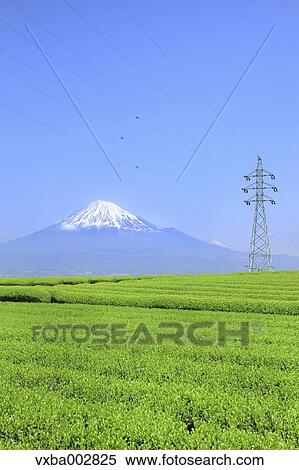 View of Mount Fuji View Large Photo Image Stock Photography - View of Mount Fuji. Fotosearch