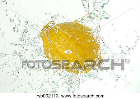 Water and lemon View Large Photo Image Stock Image - Water and lemon. Fotosearch