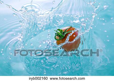 Water and tomato View Large Photo Image Stock Image - Water and tomato. Fotosearch