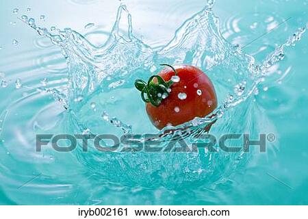 Water and tomato View Large Photo Image Stock Image - Water and tomato. Fotosearch