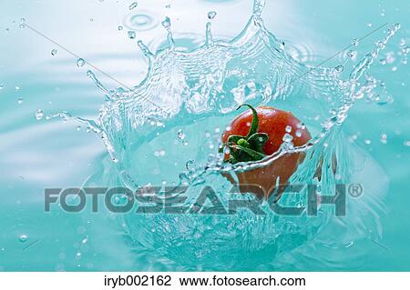 Water and tomato View Large Photo Image Stock Image - Water and tomato. Fotosearch