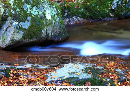 Picture - Water stream. Fotosearch