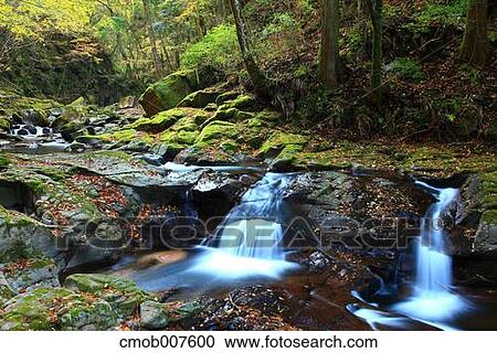 Stock Image - Water stream. Fotosearch