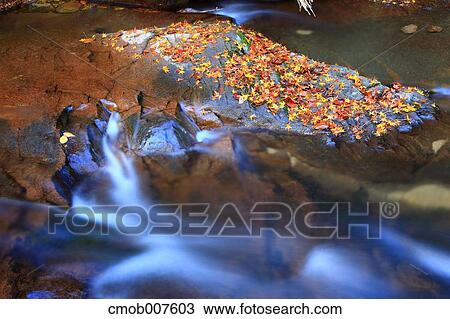 Stock Image - Water stream. Fotosearch