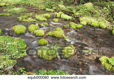 Water stream View Large Photo Image Stock Image - Water stream. Fotosearch
