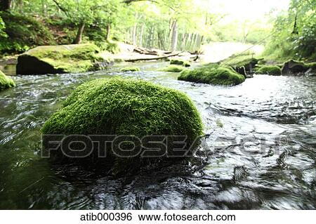 Water stream View Large Photo Image Stock Photograph - Water stream. Fotosearch