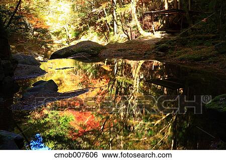 Stock Photograph - Water stream. Fotosearch