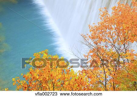 Waterfall and trees, Iwate Prefecture View Large Photo Image Stock Image - Waterfall and trees, Iwate Prefecture. Fotosearch