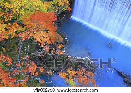 Waterfall and trees, Iwate Prefecture View Large Photo Image Stock Image - Waterfall and trees, Iwate Prefecture. Fotosearch