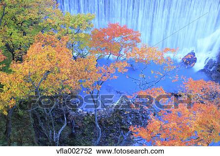 Stock Image - Waterfall and trees, Iwate Prefecture. Fotosearch