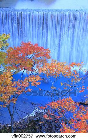 Waterfall and trees, Iwate Prefecture View Large Photo Image Stock Photo - Waterfall and trees, Iwate Prefecture. Fotosearch