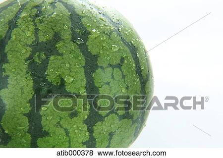 Stock Photo - Watermelon. Fotosearch