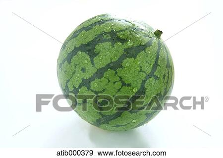 Stock Photo - Watermelon. Fotosearch