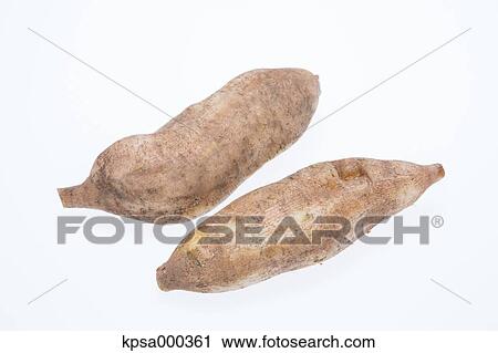 Stock Image - Yacon. Fotosearch